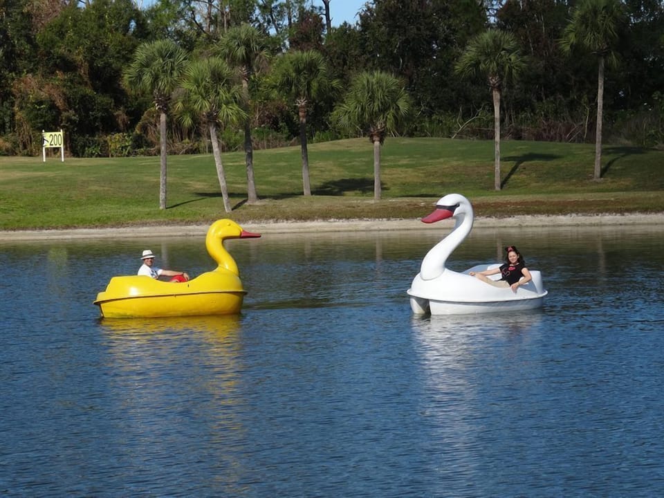 paddle boats available for a fee