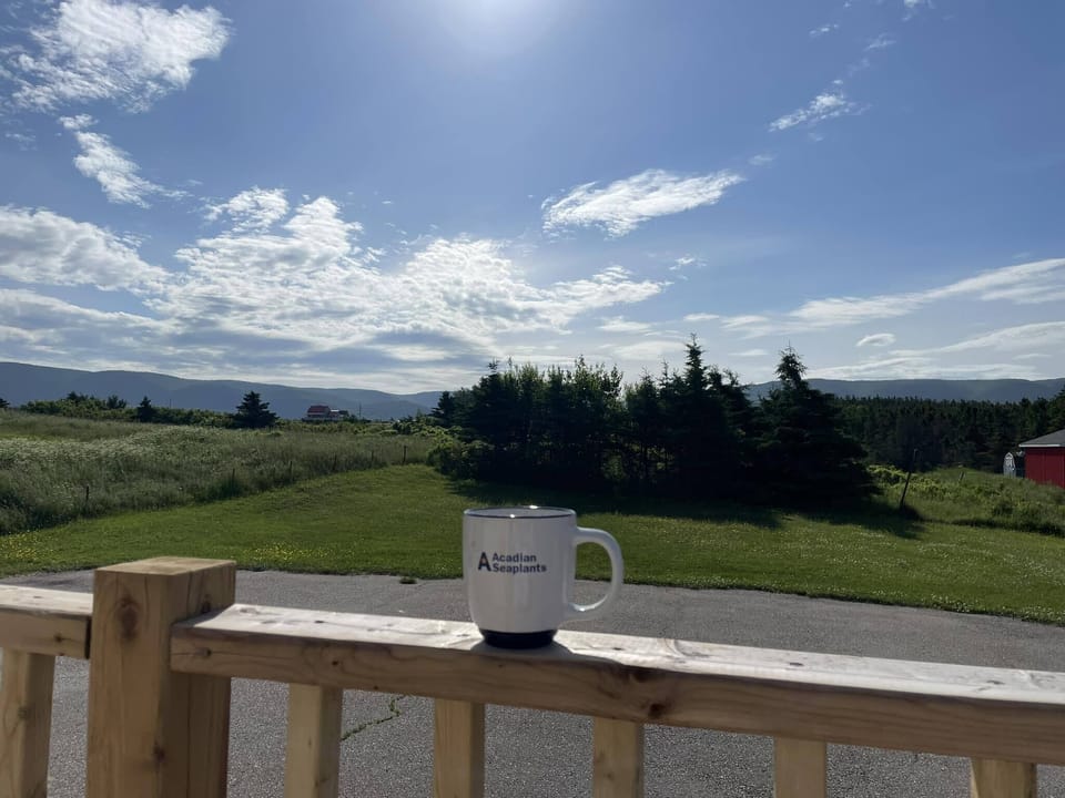 View from back deck. Watch sunrise over the mountains. 