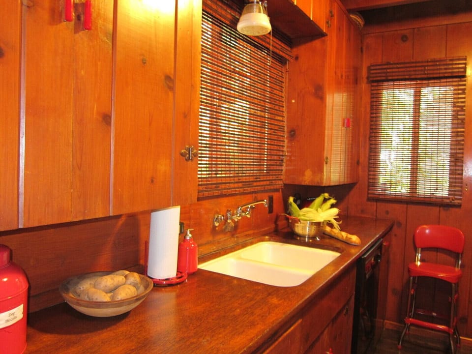 Vintage kitchen with all modern conveniences