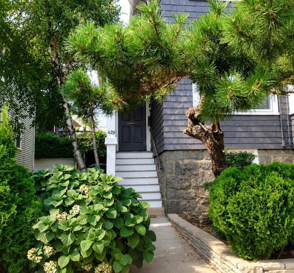Exterior detail