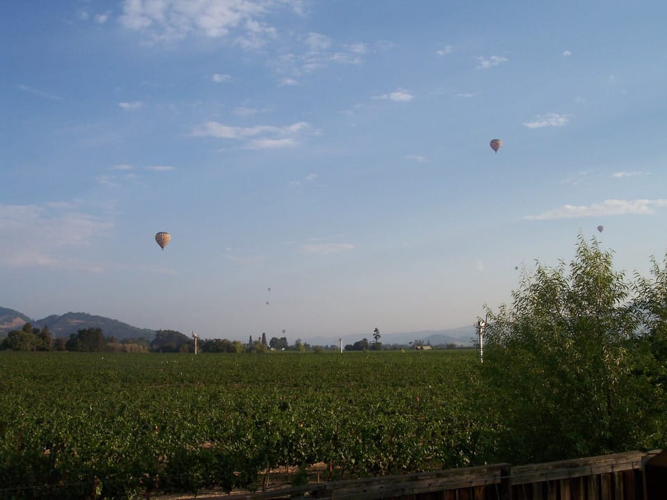 Hot air balloons hover over the vineyards almost every day.
