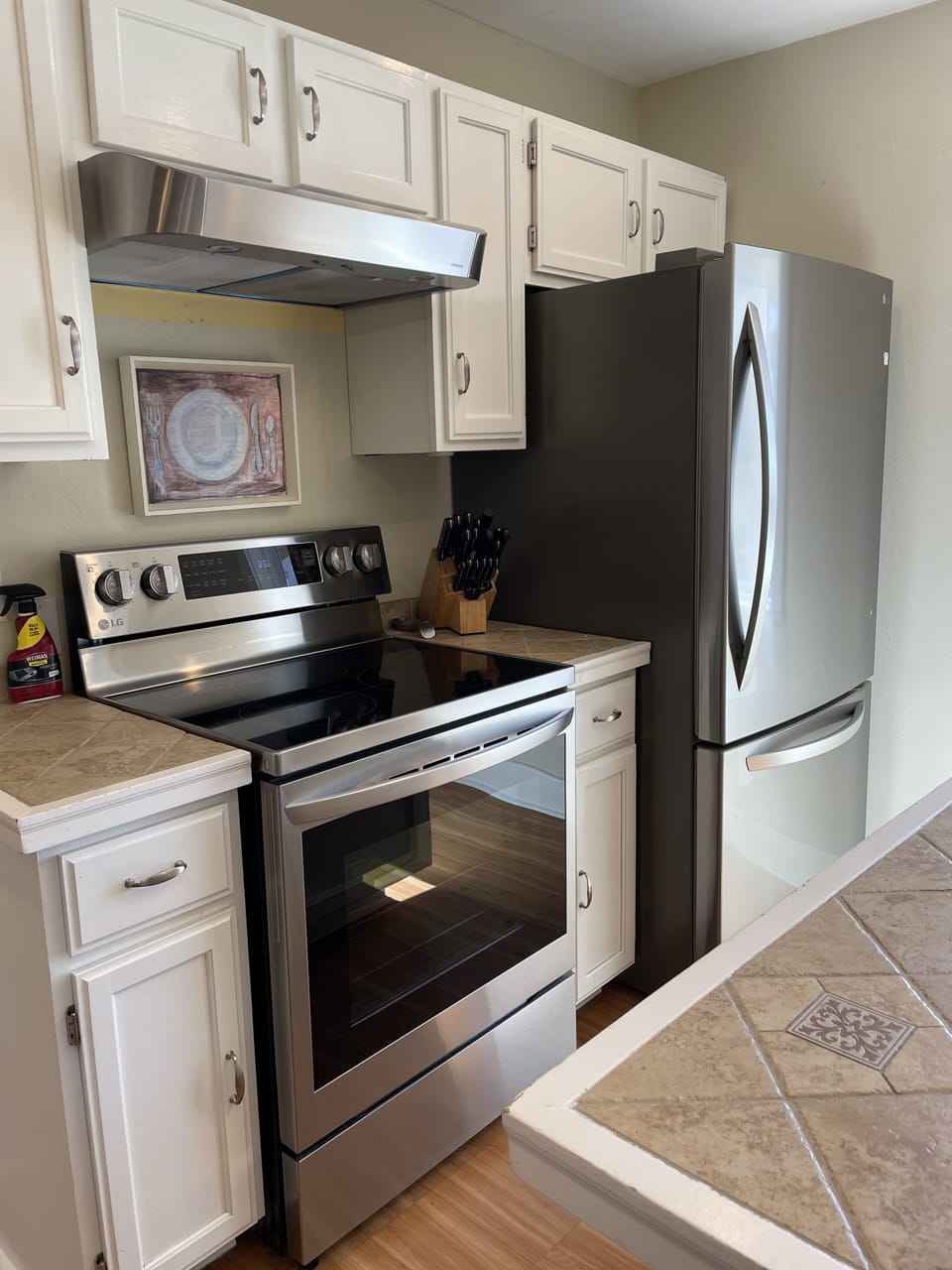 Newly upgraded stainless steel stove & fridge on 10/2022.