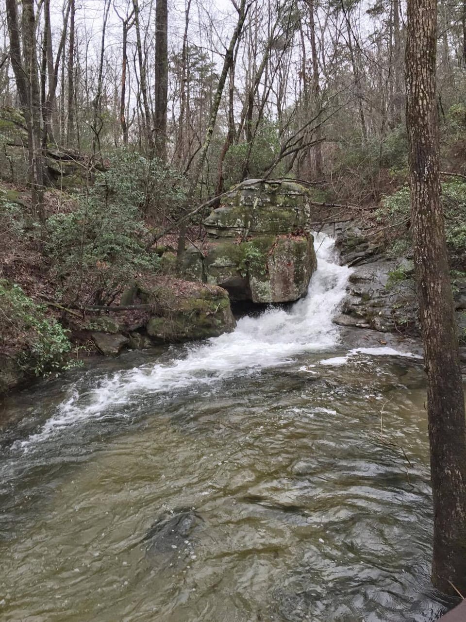 Enjoy a hike down the Desoto Trail and enjoy its beautiful & refreshing scenery.
