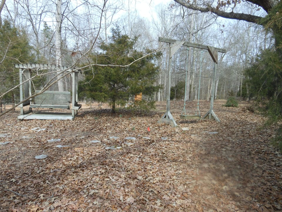 Bench type & single swing on shady bluff  outside back door.  Watch 4 deer here.