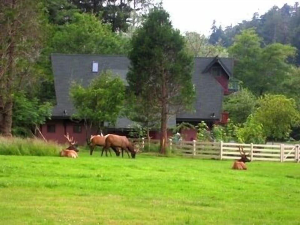 Side view Vacation Home