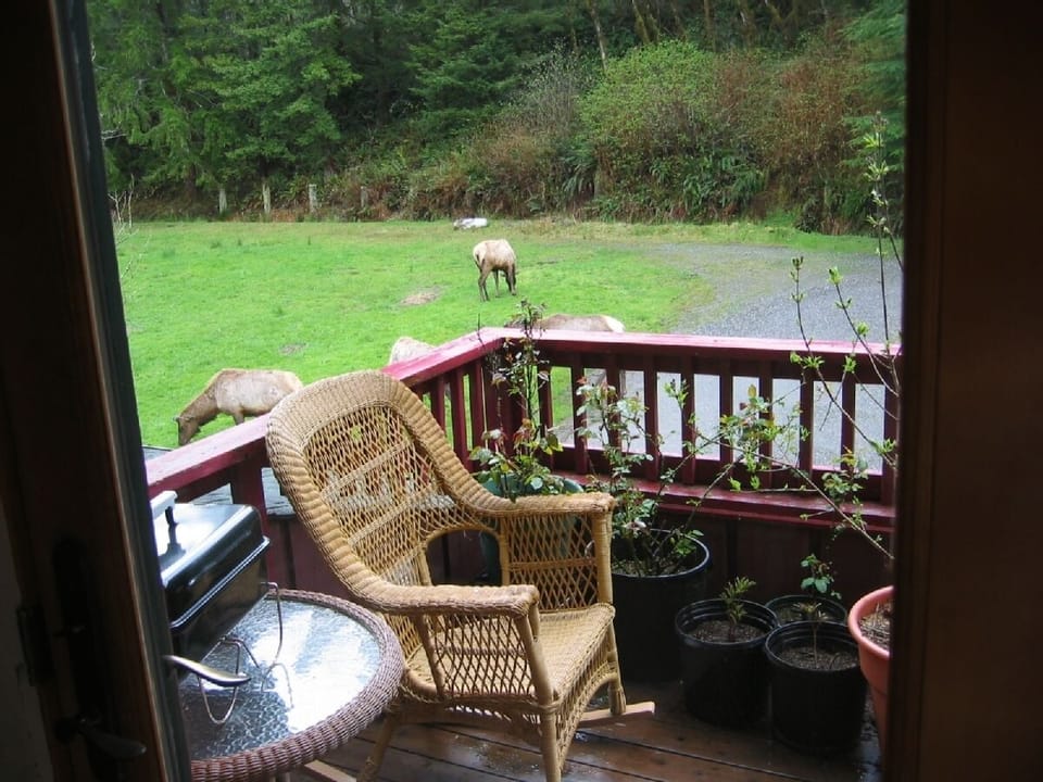Balcony view