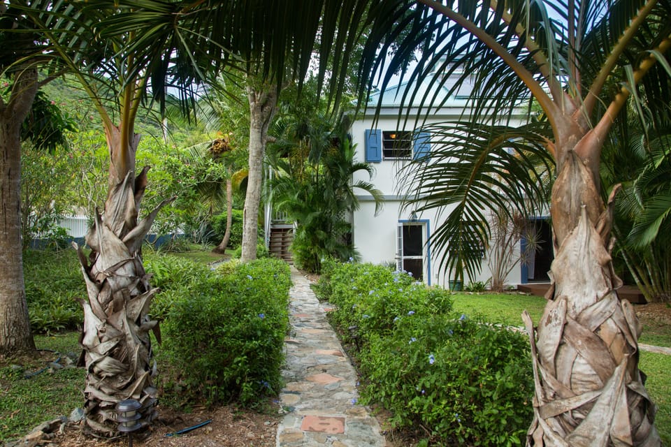 Natural stone path leading to the house is guarded by arching palms
