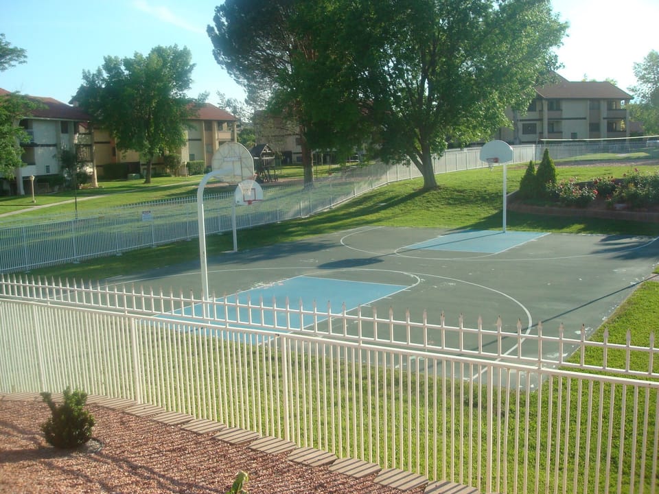 Basketball