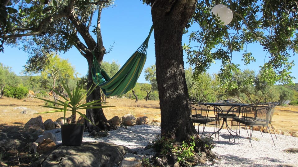 Terrace with hammock