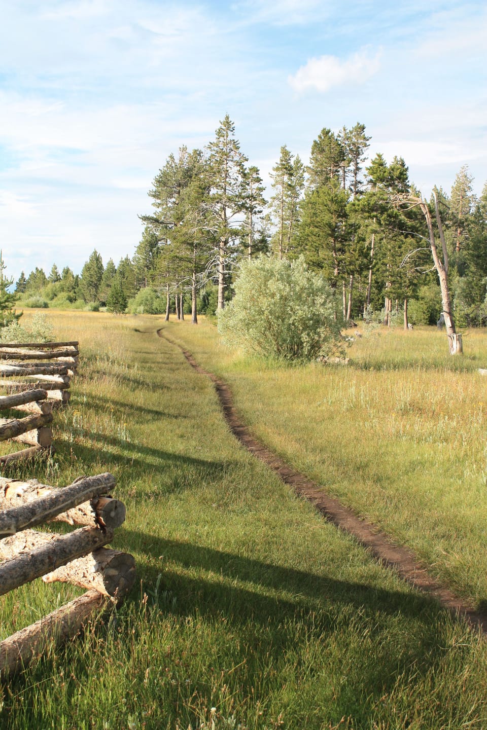 Beautiful Meadow only 4 blocks away with trail to the "Locals Beach."