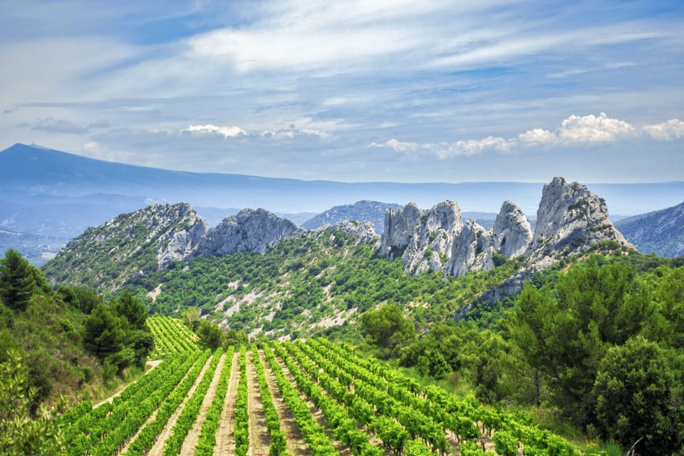 Another jewel of the region : the Dentelles de Montmirail and Gigondas vineyard