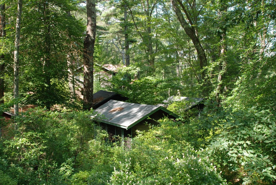 View to the neighboring one bedroom cabins which can be added to the rental.