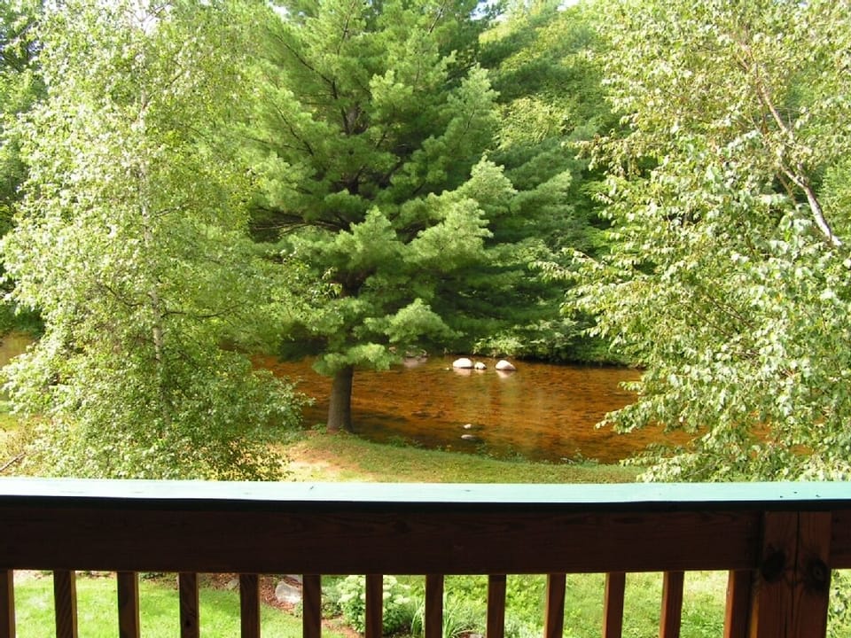 River view from balcony.