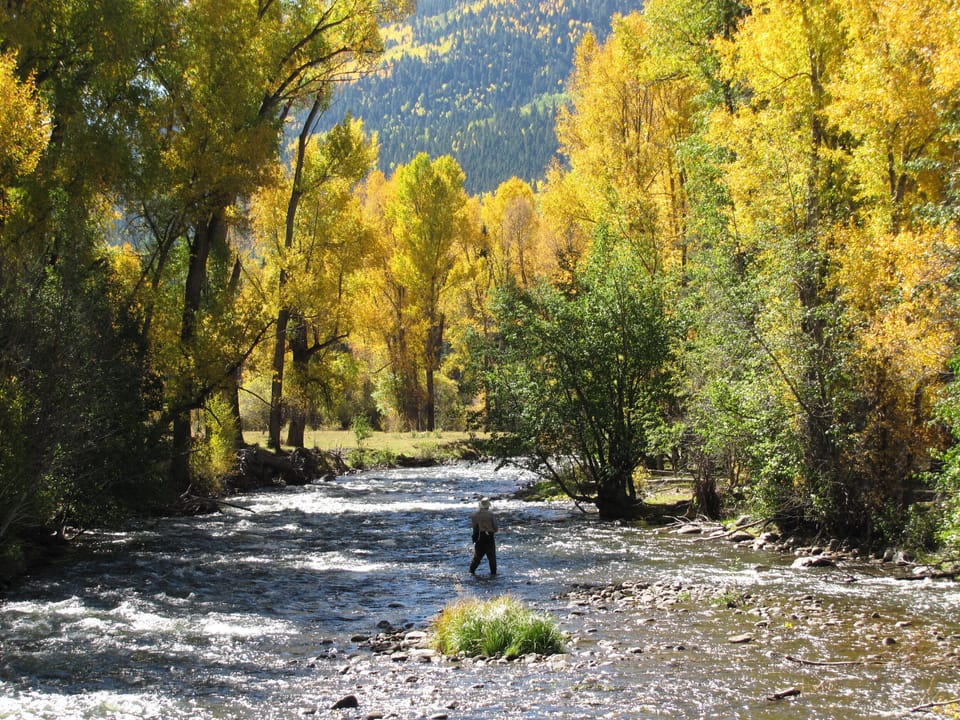 Fishing the Conejos River