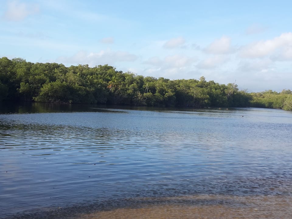 Maimon river

