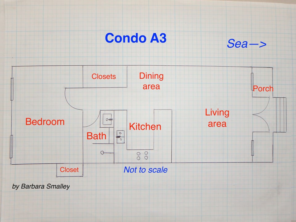 Condo floor plan (not to scale)