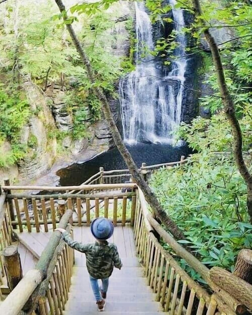 Enjoy the local attractions!