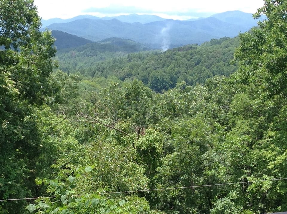 This is our beautiful view