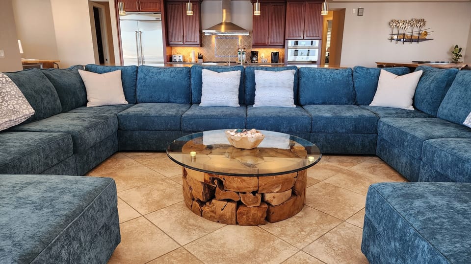 Massive Lovesac Sectional Sofa
