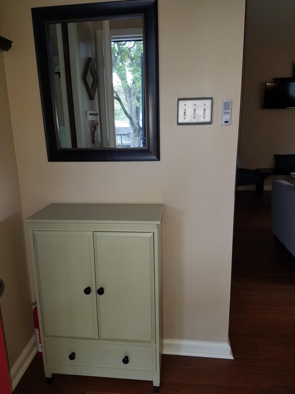 Entry area storage cabinet