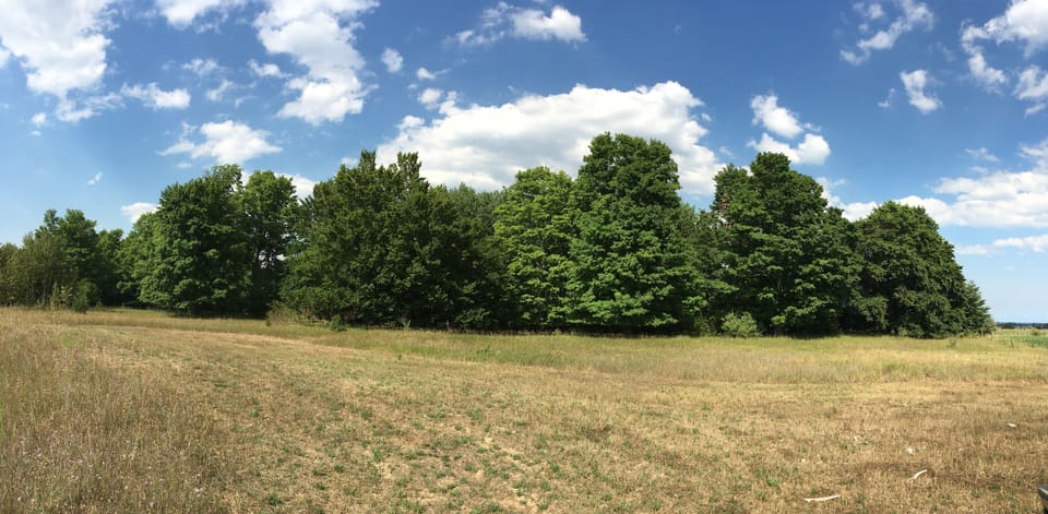 Enjoy nature walks on 80 acres of forest and fields just 1/4 mile up the road.