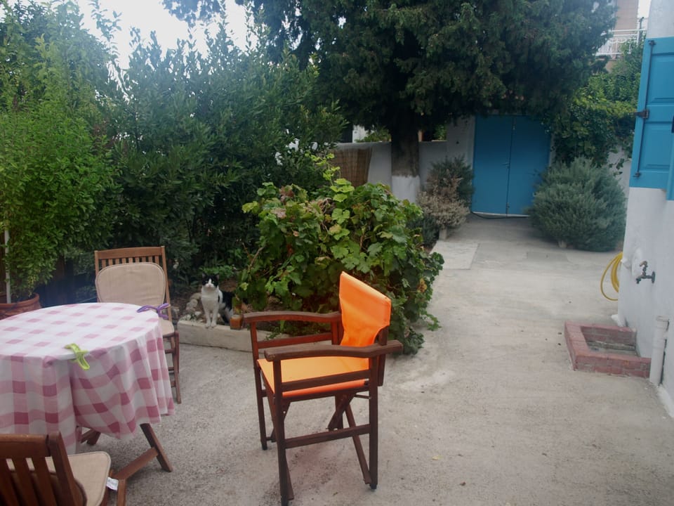 Tsampika home. The garden