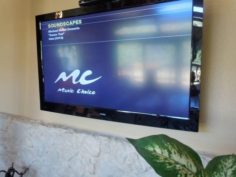 Flat screen high definition television in Living room - music channels provided