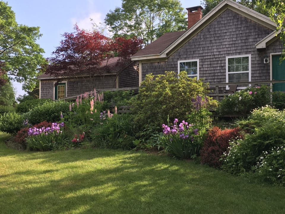 Shadows on a late afternoon in summer. Cottage to the right; garage on left.