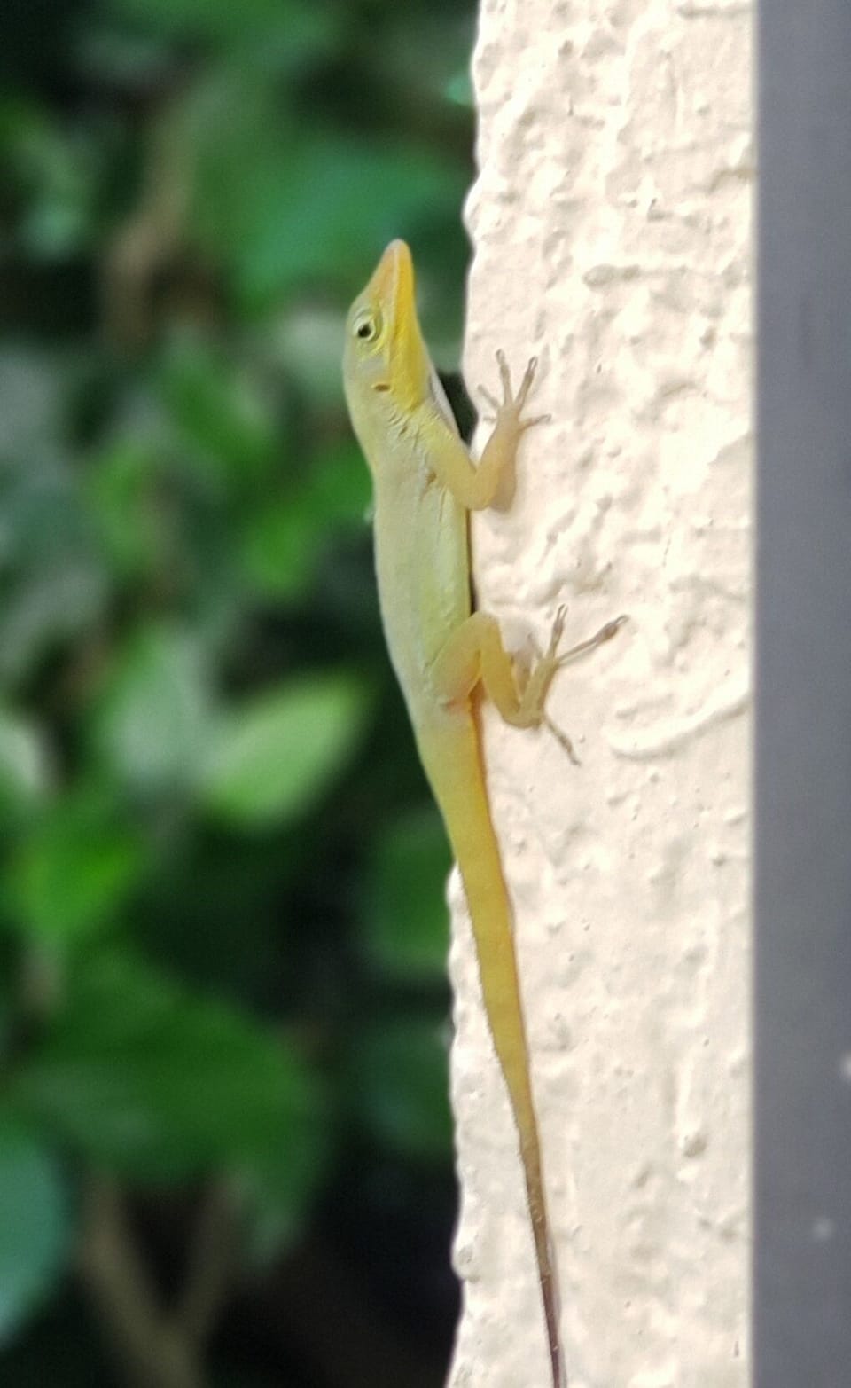 Little visitors abound.