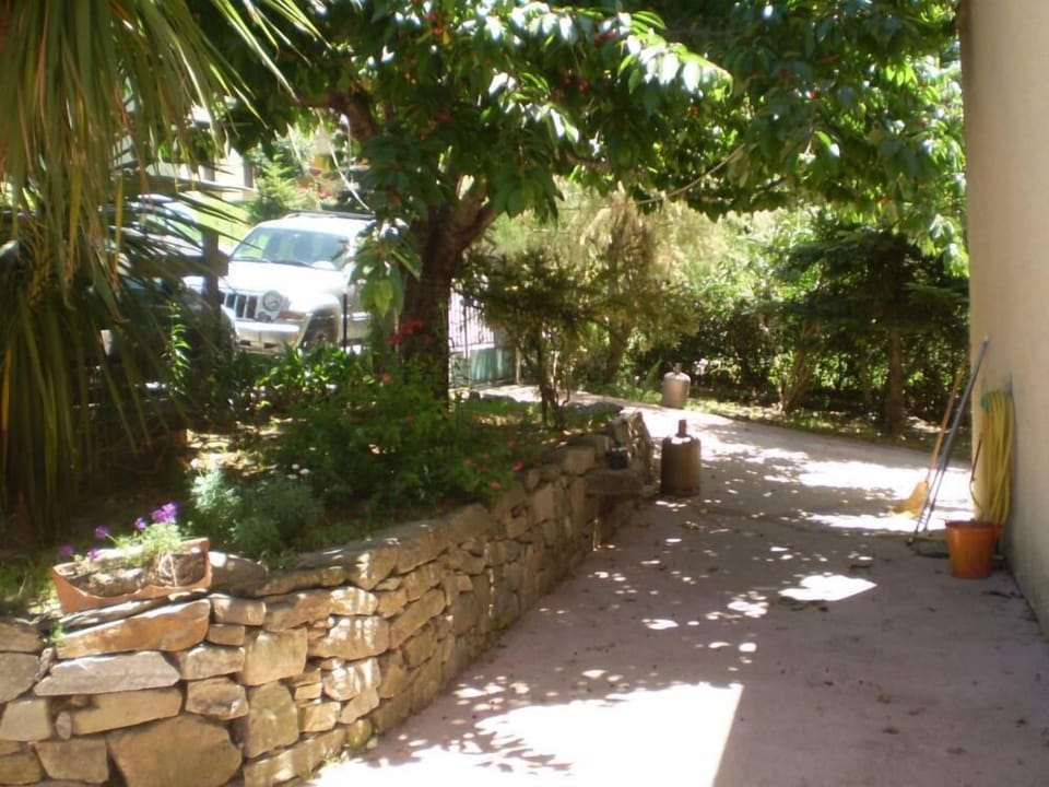 Garden, Park