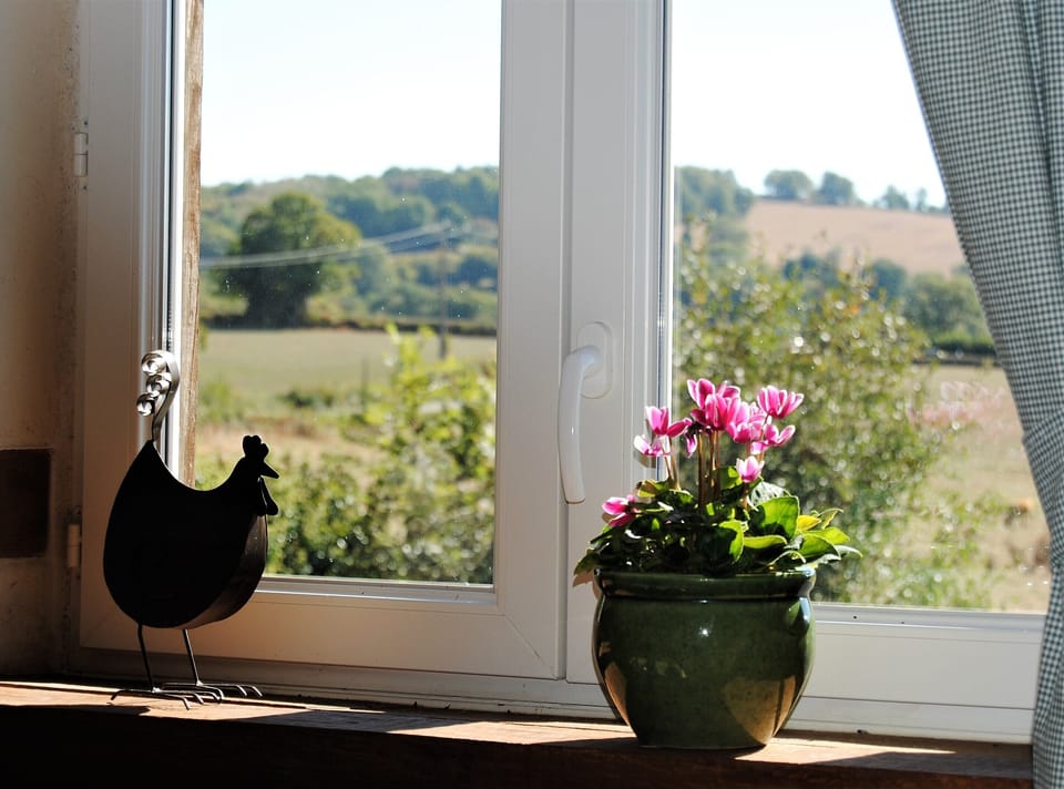 Great view when washing up!