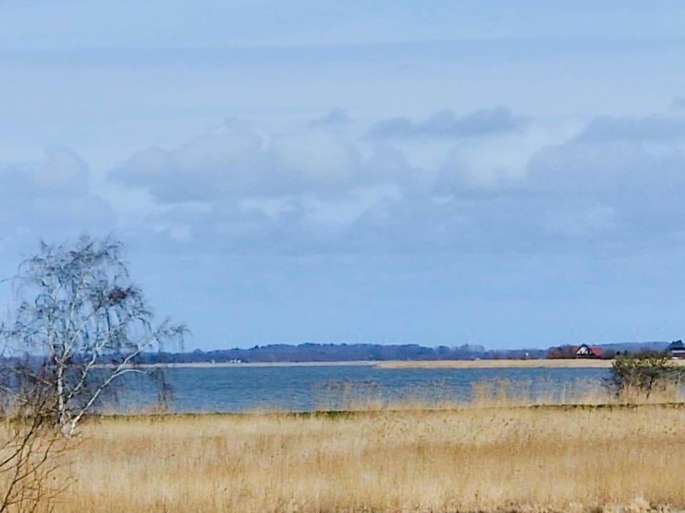 Region [summer] (>5 km)