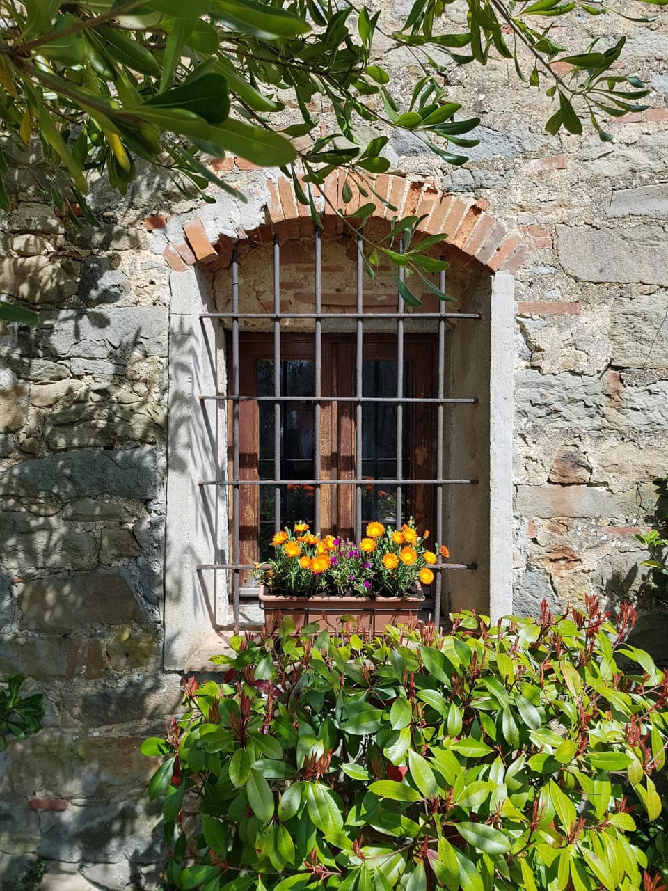 Sitting room window box