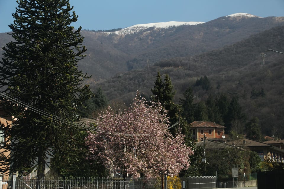Spring.  Dumenza