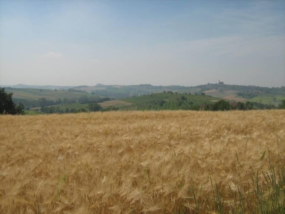 Grazzano Badoglio: Apartment/ flat - Grazzano Badoglio Apartment in Piedmont