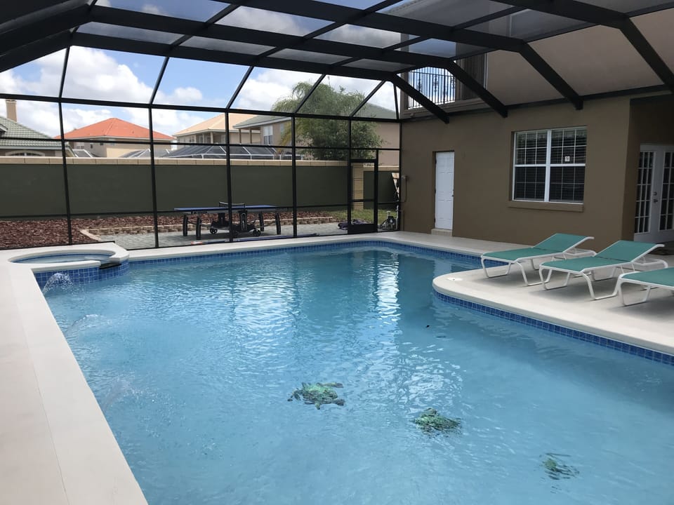 Pool Remoddelled and oversized with Turtles on Bottom and New Bronze Pool Screen