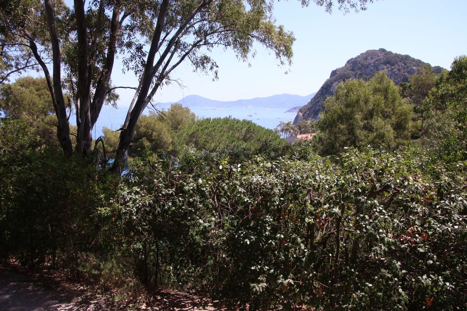 Panorama