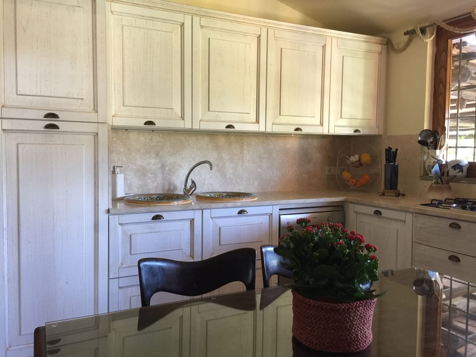 Stylish kitchen