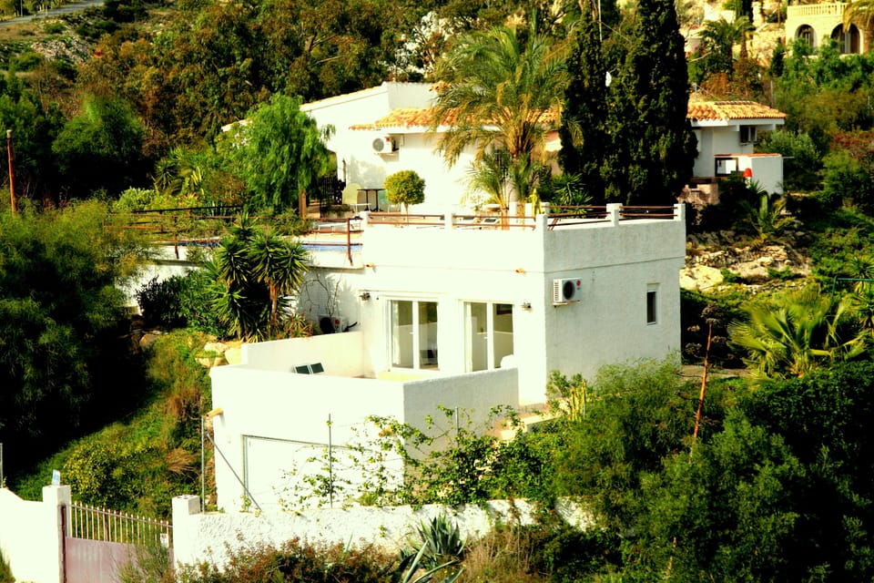  View of the house and garden
