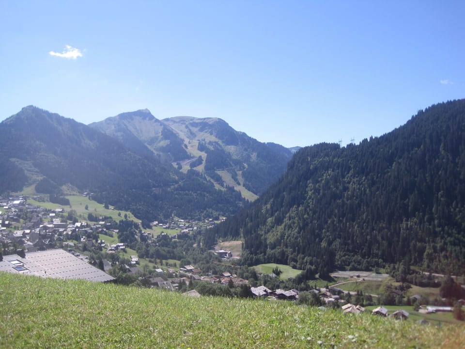 Summer view from the terrace