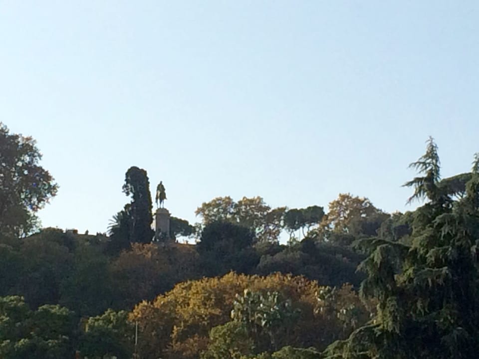 Garibaldi Roof Garden - Terrace with spectacular views of S. Peter and Gianicolo Apartment in Rome