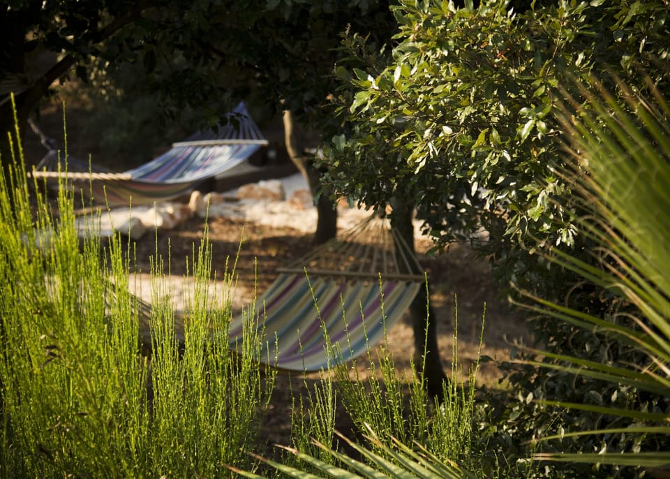 Hammocks in the trees