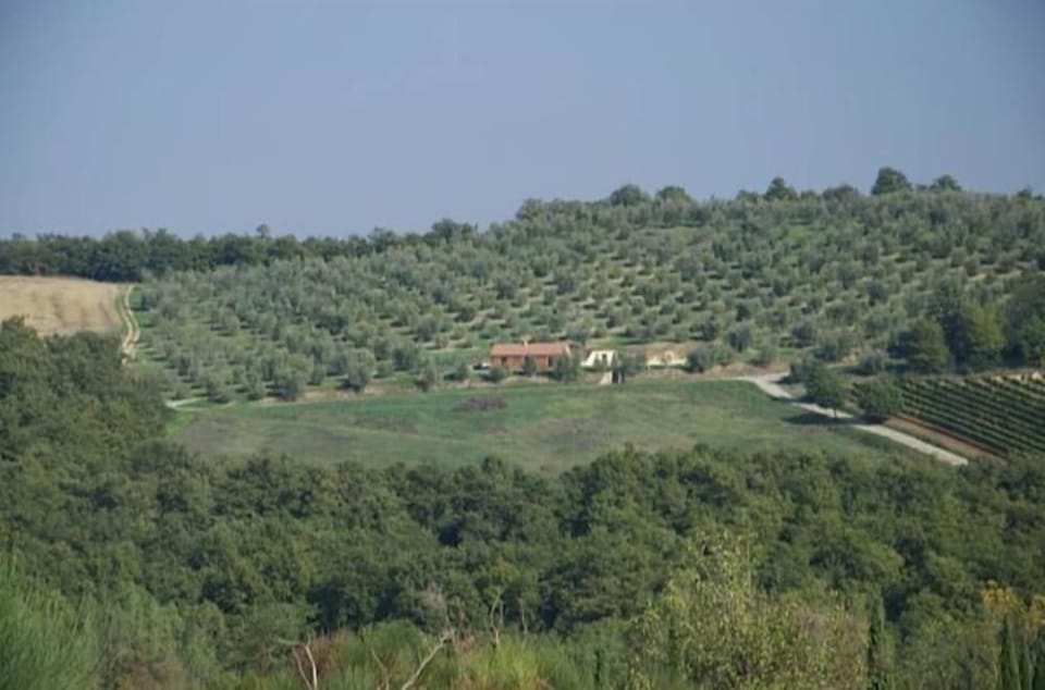 Overview