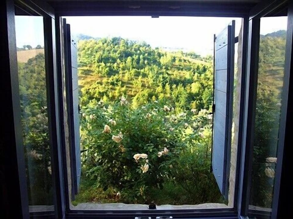 View from the window in August