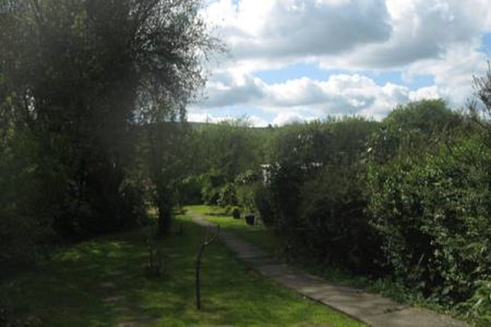 Garden in winter