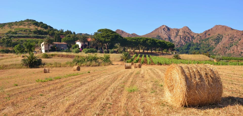 View of the whole property: Villa Bacci and Casa Bacci 