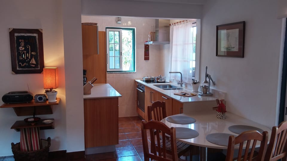fully equipped kitchen,Casa Salgueiros 135/AL