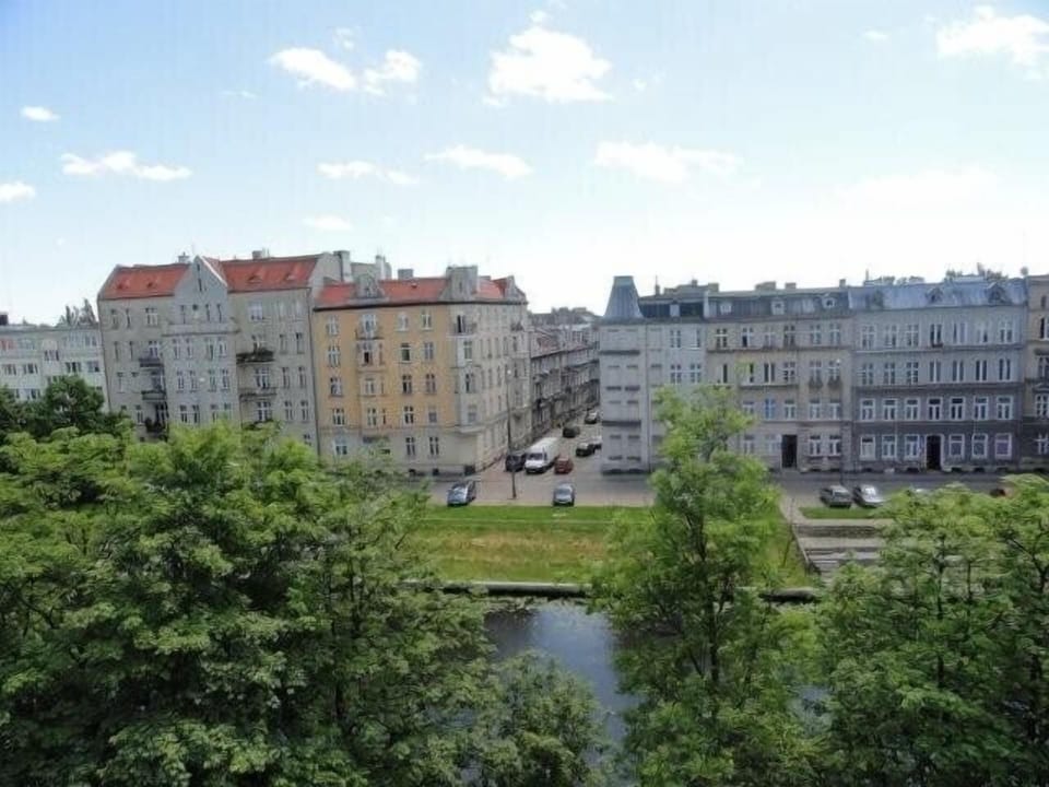 View from the Living Room