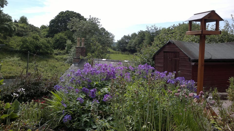 Garden with great views, flowers and lots of wild birds