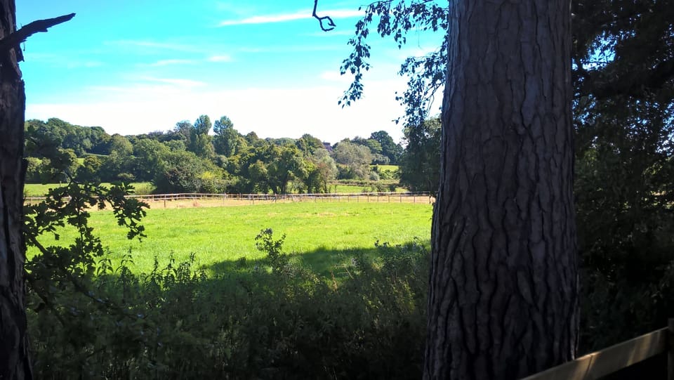 What a view, beautiful countryside all around us.